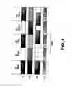 Fig. 05 - Color display apparatus