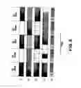 Fig. 07 - Color display apparatus