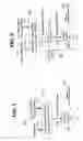 Fig. 02 - Recursive feedback control of light modulating elements