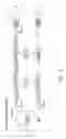 Fig. 24 - Liquid crystal display device and method of driving the same
