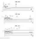 Fig. 06 - Electrophoresis type display device and method of fabricating and driving the same