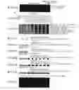 Fig. 07 - Ink jet printer