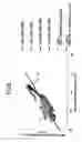 Fig. 06 - Image forming apparatus