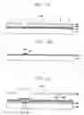 Fig. 16 - Liquid crystal display device and method of fabricating the same
