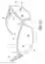 Fig. 02 - Eyewear having lens retaining member