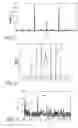 Fig. 09 - Method for determining spin characteristic parameters in spun optical fibers