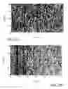 Fig. 10 - Method for determining spin characteristic parameters in spun optical fibers