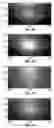 Fig. 04 - Systems and methods for endoscopic angle-resolved low coherence interferometry