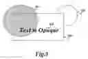 Fig. 04 - Transparency printing