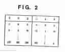 Fig. 03 - Image processing method and apparatus, and profile management method