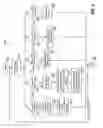 Fig. 06 - Electronic photo book