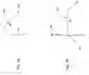 Fig. 04 - Projection screen with virtual compound curvature