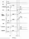 Fig. 12 - Dual-gate nonvolatile memory and method of program inhibition