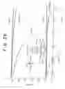 Fig. 27 - Data line disturbance free memory block divided flash memory and microcomputer having flash memory therein