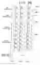 Fig. 35 - Data line disturbance free memory block divided flash memory and microcomputer having flash memory therein
