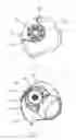 Fig. 03 - Kitchen appliance