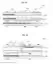 Fig. 41 - Optical storage medium, optical read/write apparatus, and optical read/write method
