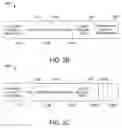 Fig. 05 - Smart mechanism for multi-client bidirectional optical channel protection scheme