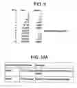Fig. 10 - Transmission control protocol with performance enhancing proxy for degraded communication channels