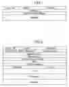 Fig. 06 - System for interworking services of heterogeneous networks and method for vertical handoff