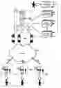 Fig. 01 - Managing concurrent data updates in a composite services delivery system