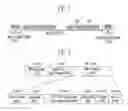 Fig. 02 - Method for measuring performance of MPLS LSP