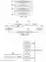 Fig. 06 - Rapid messaging protocol wireless network data communication system