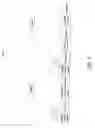 Fig. 08 - Method and apparatus for parsing data streams