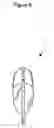 Fig. 10 - Liquid temperature detectors