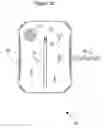 Fig. 19 - Liquid temperature detectors