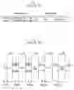 Fig. 02 - Rake receiver for DS-CDMA UWB system and DS-CDMA receiver having the same