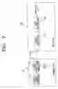 Fig. 08 - Communication system for transmitting and receiving a communication signal having an intra-guard-interval
