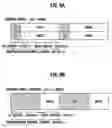 Fig. 10 - Radio communications device and radio communications controlling method