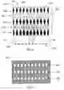 Fig. 03 - X-ray collimator for imaging with multiple sources and detectors
