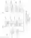 Fig. 05 - Method and system of computer-aided quantitative and qualitative analysis of medical images