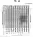Fig. 06 - Image reading apparatus