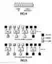 Fig. 04 - R/T display compression preserving intensity information