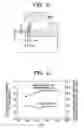 Fig. 06 - Liquid lubricating tapered roller bearing device