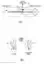 Fig. 04 - Systems and methods for minimally-invasive optical-acoustic imaging