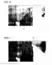 Fig. 13 - Control device and control method with corresponding arrangement of image regions