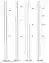 Fig. 37 - Grouped exposed metal heaters