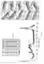 Fig. 05 - Automated acquisition of spectral data and image data