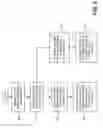 Fig. 06 - Network with sourceless clients