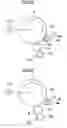 Fig. 03 - Cleaning device and image forming device