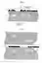 Fig. 06 - IMAGE FORMING APPARATUS AND IMAGE FORMING METHOD