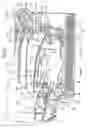Fig. 04 - Image forming apparatus having image reading function
