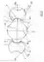 Fig. 04 - Screw pump