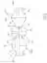 Fig. 06 - Screw pump