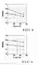 Fig. 03 - Ozone gas sensing element