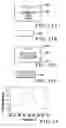 Fig. 14 - Ozone gas sensing element